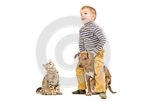 Happy child playing with a pitbull puppy and curious cat