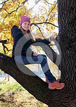 Happy child sitting on branch of tree on sunny autumn day