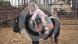 Happy child is sitting on pony. Rider horse inside farm hug her pet. Girl laughs