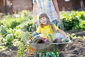 Happy child with vegetables sits in the cart n a garden. Healthy lifestyles concept