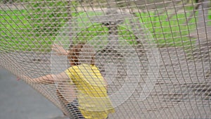 Happy child in a yellow teashirt, school boy enjoys activity in a climbing adventure park