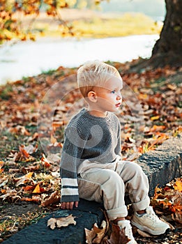 Happy childhood. Childhood memories. Child autumn leaves background. Warm moments of autumn. Toddler boy blue eyes enjoy