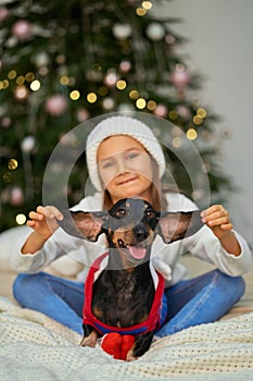 Happy childhood, Christmas magic fairy tale. A little girl is laughing with her friend, a dachshund dog, near the Christmas tree