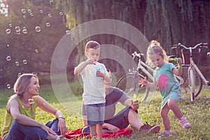 Happy Childhood-Happy family with children blow soap bubbles in park
