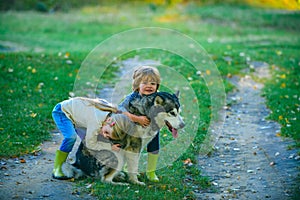 Happy childhood. Kids having fun dog pet in field against nature background. Dog and funny kids enjoying together