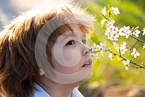 Happy childhood. Spring kid allergie sniffs blooming tree. Cute child in blossom garden.