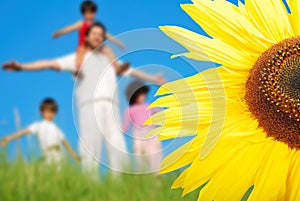 Happy childhool on green meadow, behind sunflower