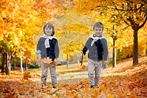 Happy children, boy brothers, playing in the park with leaves