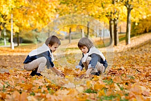 Happy children, boy brothers, playing in the park, throwing leaves, playing with fallen leaves