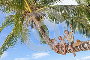 Happy children - boy and girls - on palm tree, tropical