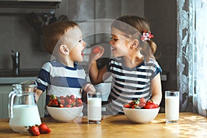 Happy children brother and sister eating strawberries with milk