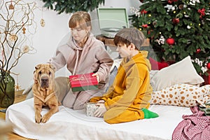 Happy children with dog sitting in christmas decorated room. Merry Christmas and Happy Holidays