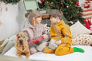 Happy children with dog sitting in christmas decorated room. Merry Christmas and Happy Holidays