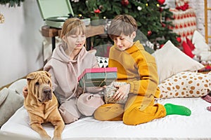 Happy children with dog sitting in christmas decorated room. Merry Christmas and Happy Holidays