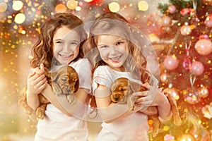 Happy children and dogs beside Christmas tree. New year 2018. Holiday concept, Christmas, New year background.