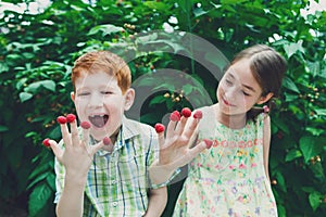 Happy children eating raspberry from fingers in summer garden