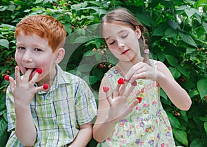 Happy children eating raspberry from fingers in summer garden