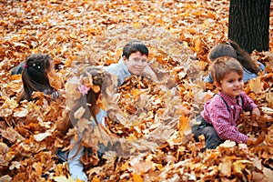 Happy children group playing in heap of yellow leaves, posing, smiling and having fun in autumn city park. Bright yellow trees and