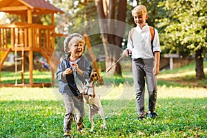 Happy children playing with their dog in the park. Little puppy jack russel terrier and kids outdoors