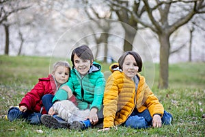 Happy children, siblings, boys, visiting Prague springtime in the evening, walking in park with pet dog