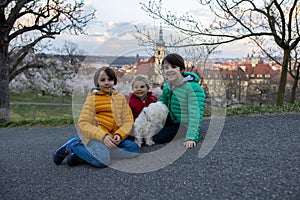 Happy children, siblings, boys, visiting Prague springtime in the evening, walking in park with pet dog