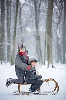 Happy children in a winter park, playing together with a sledge