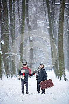 Happy children in a winter park, playing together with a sledge