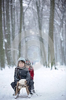 Happy children in a winter park, playing together with a sledge