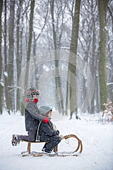 Happy children in a winter park, playing together with a sledge