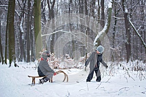 Happy children in a winter park, playing together with a sledge