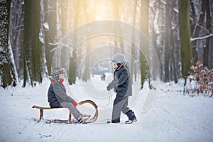 Happy children in a winter park, playing together with a sledge