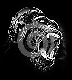 DJ CHIMPANZEE chimp headphones music T-shirt design photo