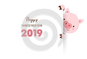 Happy Chinese new year 2019, the year of pig. Vector banner, background