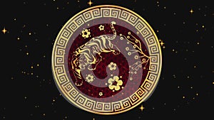 Happy Chinese New Year 2022, zodiac sign tiger on black background with gold stars. Chinese festivals. 4K video