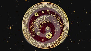 Happy Chinese New Year 2022, zodiac sign tiger on black background with gold stars. Chinese festivals. 4K video
