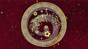 Happy Chinese New Year 2022, zodiac sign tiger on red background with gold stars. Chinese festivals. 4K video animation