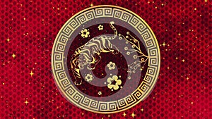 Happy Chinese New Year 2022, zodiac sign tiger on red background with gold stars. Chinese festivals. 4K video animation