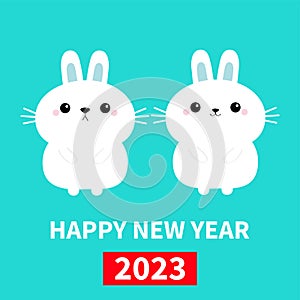 Happy Chinese New Year 2023. The year of the rabbit. Two bunny love couple set. Cute cartoon kawaii funny baby character. Farm