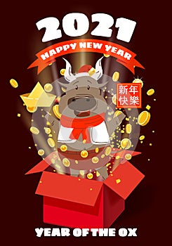 Happy Chinese 2021 new year greeting card. Year of the ox. Cute bull and open red gift boxg confetti gold money. Chinese