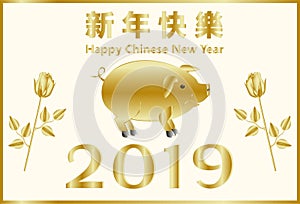 Happy Chinese New Year, Pig Year. Chinese characters mean congratulations on a happy new year. Suitable for greeting card, poster,