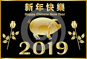 Happy Chinese New Year, Pig Year. Chinese characters mean congratulations on a happy new year. Suitable for greeting card, poster,