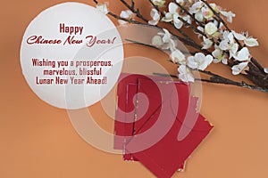 Happy Chinese New Year! Wishing you a prosperous marvelous, blissful, Lunar New Year ahead. photo