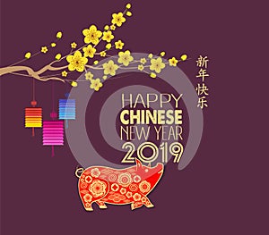 Happy Chinese New Year 2019 year of the pig. Chinese characters mean Happy New Year, wealthy, Zodiac sign for greetings card, flye