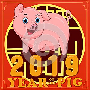 Happy Chinese new year 2019.Year of the pig