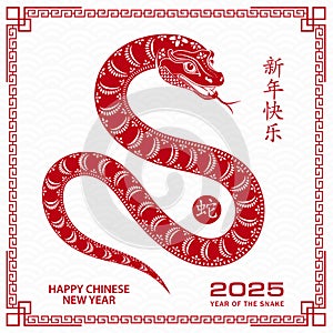 Feliz chino nuevo 2025 zodíaco de serpiente 
