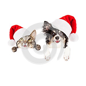 Happy Christmas Dog and Cat Over White Banner