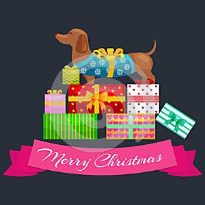 Happy Christmas dogs on stack of presents, xmas gifts for animals vector illustration