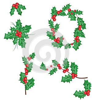 Ilex branch with berry and leaves, mistletoe set. symbol of christmas and new year, vector isolated drawing on white background. C photo