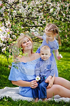 Happy chubby mom and two kids boy and girl in a blooming spring apple orchard on a spring picnic