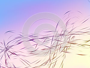 Happy color modern abstract background with original light curves